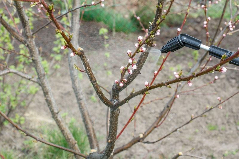 3.jpg инструмент