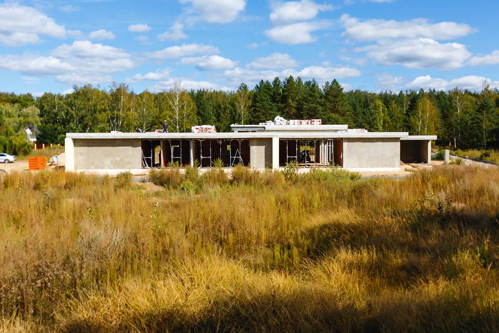 _J5A0471.jpg лесополоса