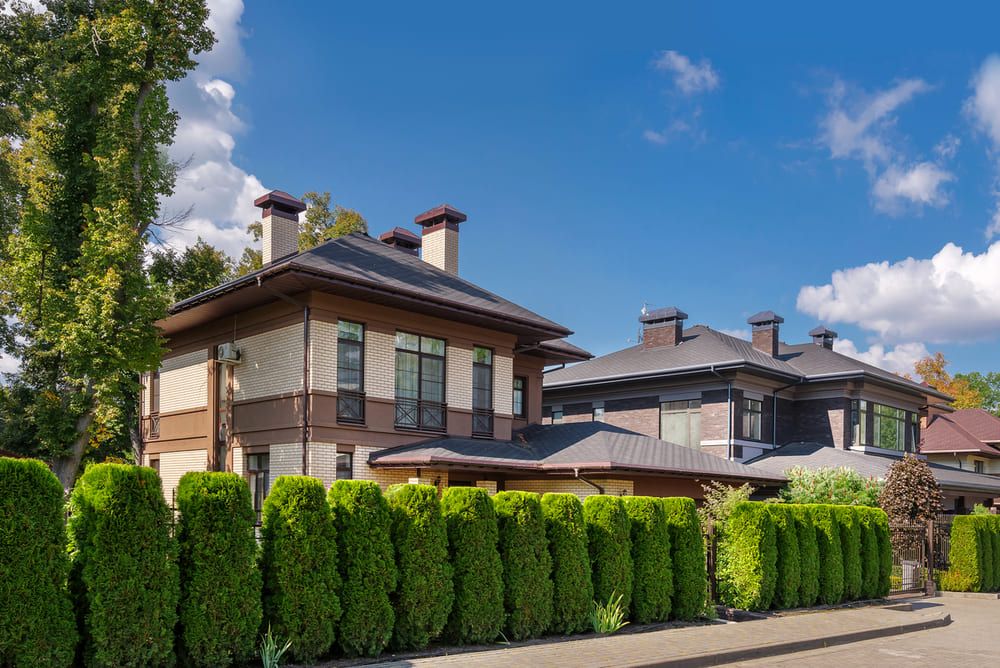 живая изгородь