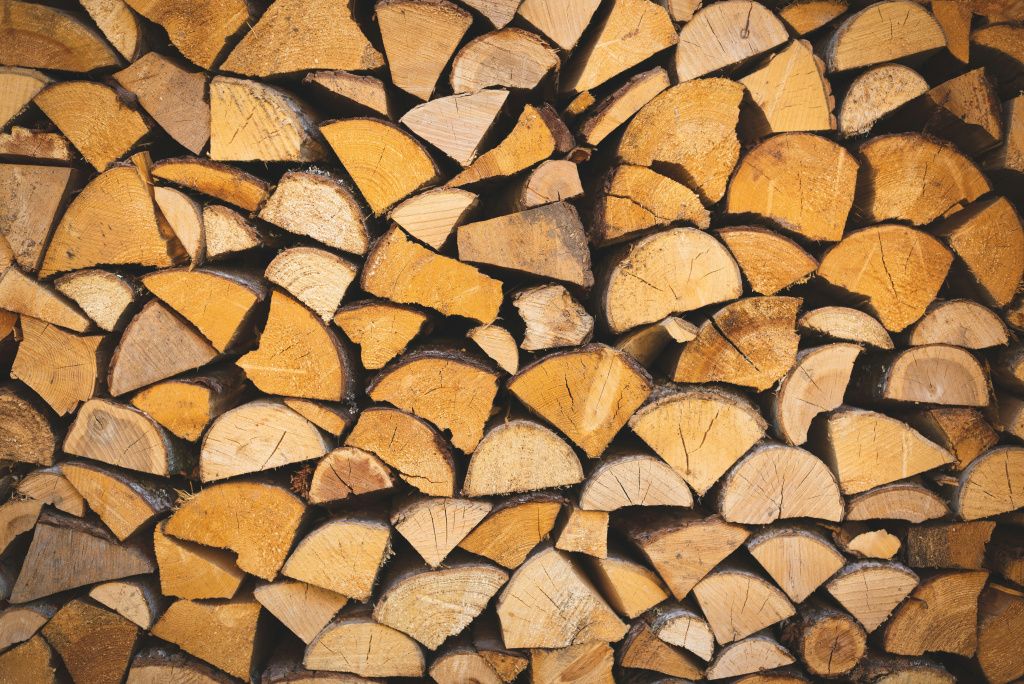 ilya-orehov-qeHx0BmUiA0-unsplash.jpg поленья