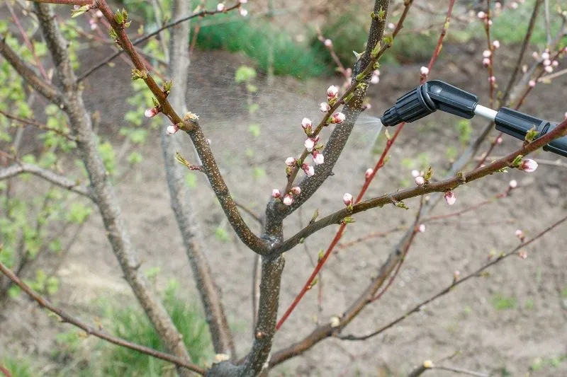 инструмент