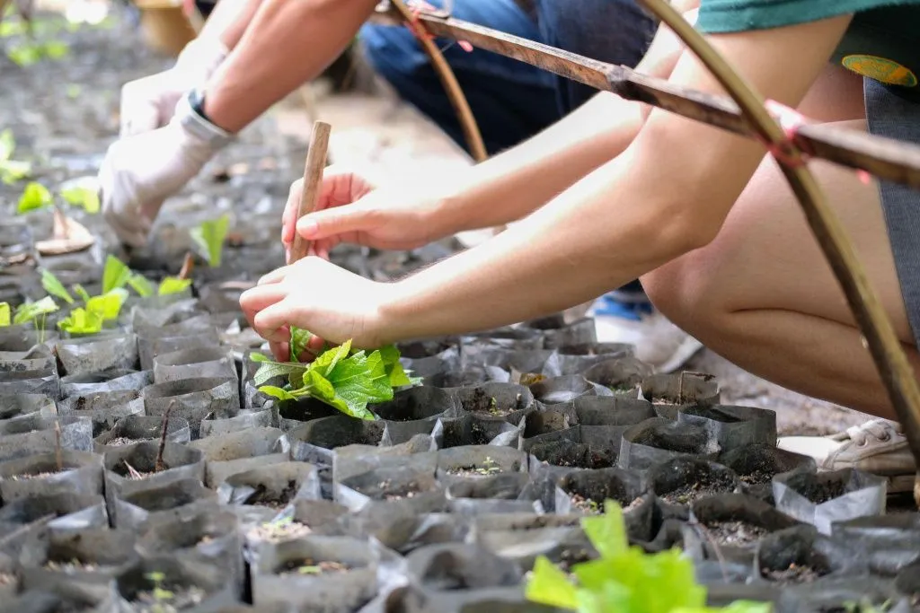 4.jpg две пары рук